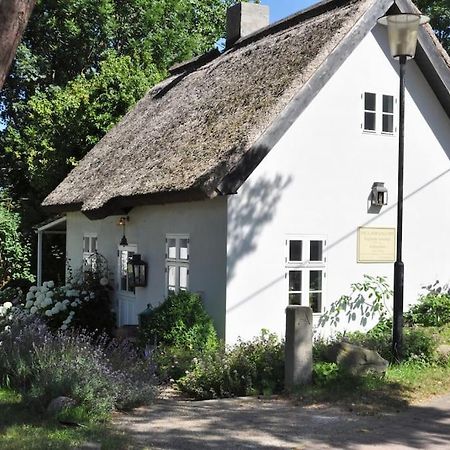 Zauberhaftes Englisches Cottage Am Gutshaus Gross Schoritz Eksteriør bilde