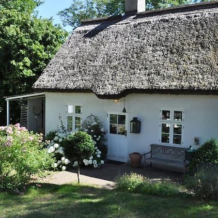 Zauberhaftes Englisches Cottage Am Gutshaus Gross Schoritz Eksteriør bilde