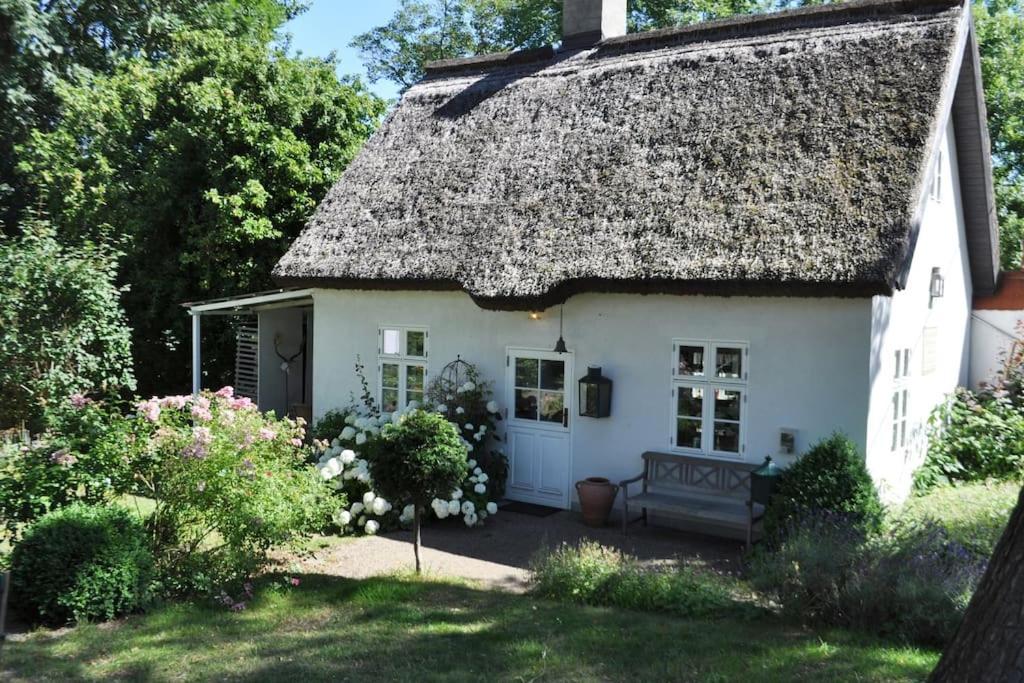 Zauberhaftes Englisches Cottage Am Gutshaus Gross Schoritz Eksteriør bilde