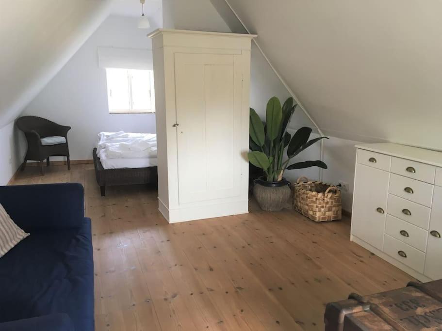 Zauberhaftes Englisches Cottage Am Gutshaus Gross Schoritz Eksteriør bilde