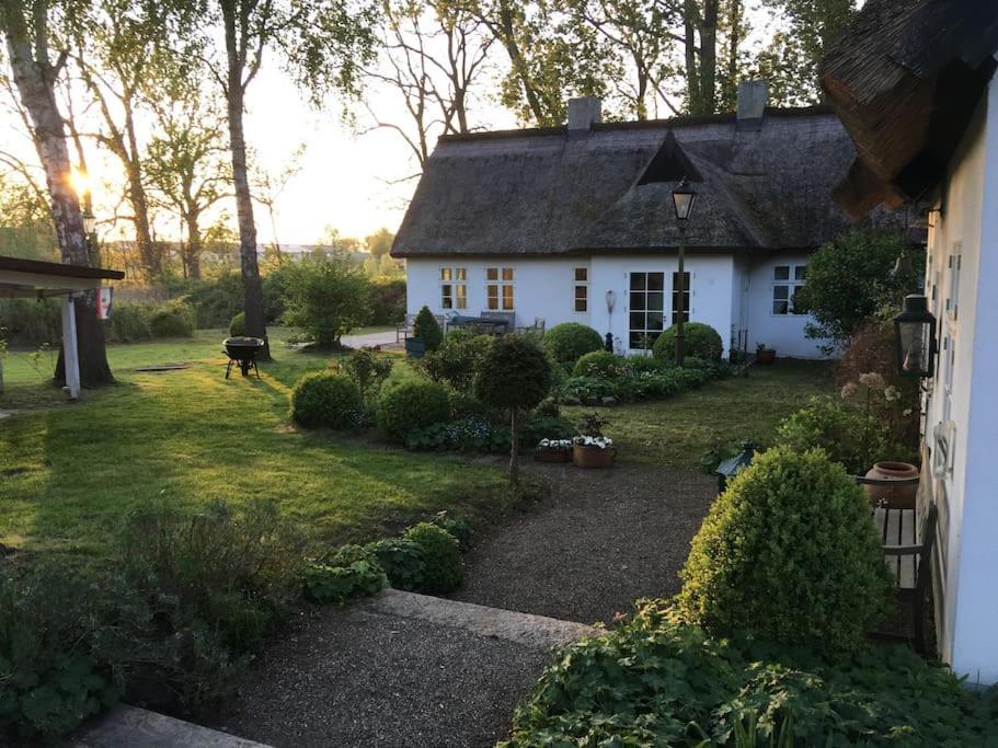 Zauberhaftes Englisches Cottage Am Gutshaus Gross Schoritz Eksteriør bilde