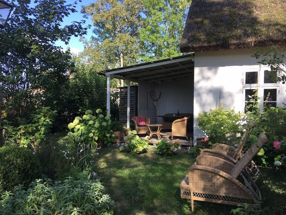 Zauberhaftes Englisches Cottage Am Gutshaus Gross Schoritz Eksteriør bilde