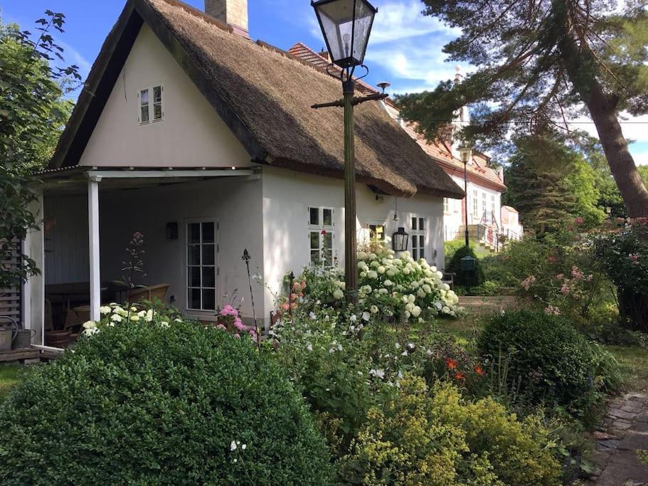 Zauberhaftes Englisches Cottage Am Gutshaus Gross Schoritz Eksteriør bilde